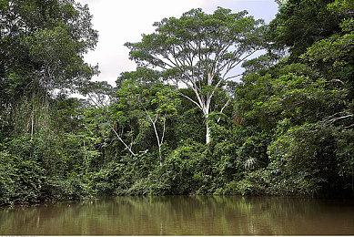 电影《刺猬索尼克2》 新预告 4月8日北美上映